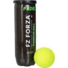 FZ FORZA PADEL PREMIUM BALL -Ball Sports Store k20419eae52d6268d59a80f816ec91142