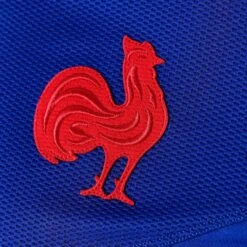 Le Coq Sportif Adult Rugby Short-Sleeved Replica France National Team 2019 Shirt - Blue -Ball Sports Store k33cfdc5def4c1d0b78c7c43d98b7f85c