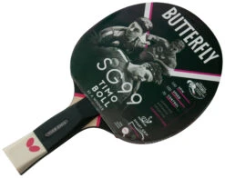 Butterfly Timo Boll SG99