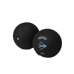 Dunlop Intro Squash Balls (Pack Of 12) (Black) -Ball Sports Store k731325c8ef6037a5b51b3ab42e15b8c6