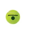 Dunlop Mini Tennis Balls (Pack Of 60) (Green) -Ball Sports Store k83bf766aae55e8b62c52a5b4b181cd27