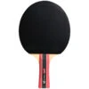 Sport 300 -Ball Sports Store k92c8795733983716241b9b447bda3b06